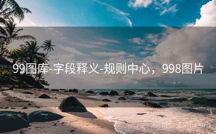 99图库-字段释义-规则中心，998图片
