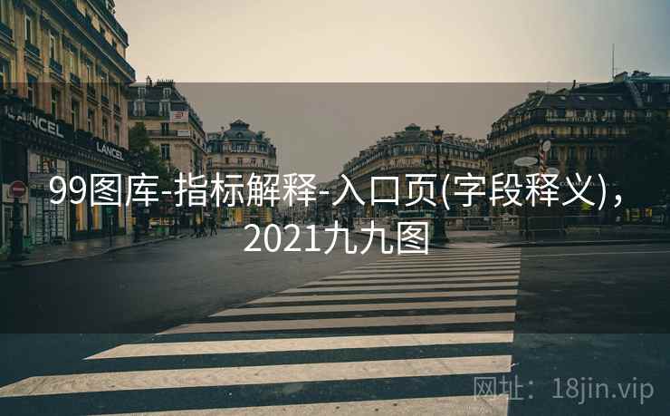 99图库-指标解释-入口页(字段释义),2021九九图